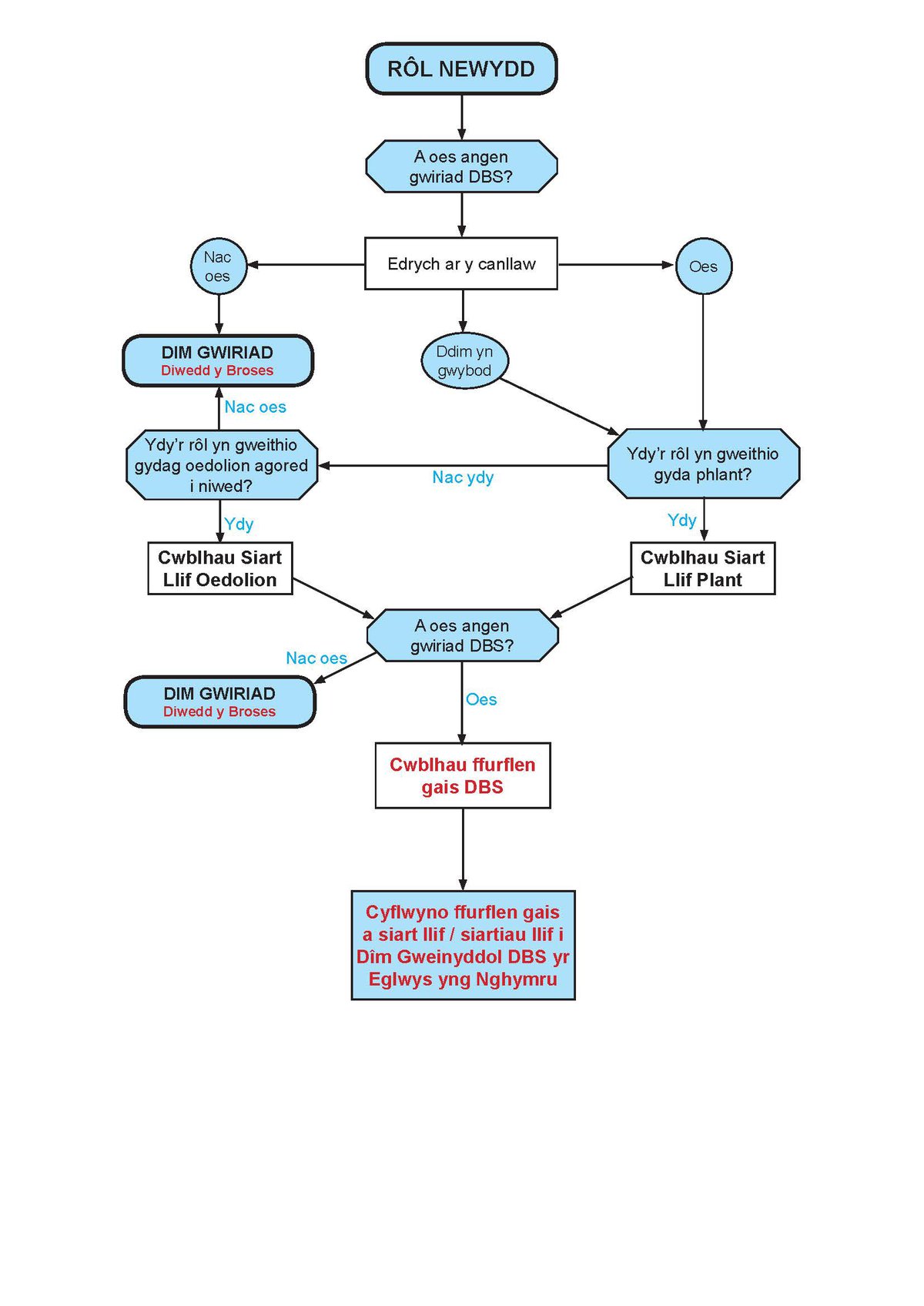 1791-DBS-flow-chart-for-web-site-Welsh.jpg