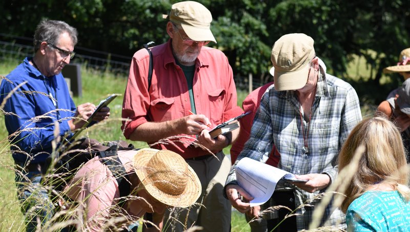 Bodiversity Hotspots [recording, St Michaels, Llandre]