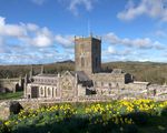 Cathedral with daffodils.jpeg