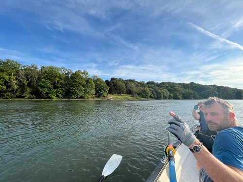 Cleddau