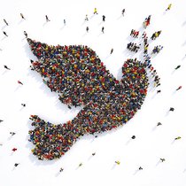 Picture of the dove of peace comprised of people