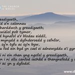 Flwyddyn o Weddi Medi 2022 - Creadigaeth, Cynhaeaf, Creadigrwydd