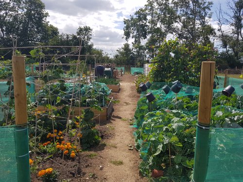Grwp Resilience Garden 2