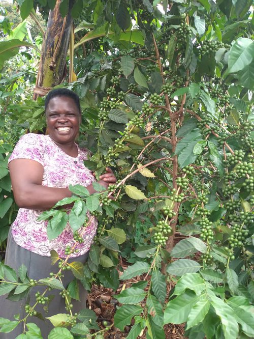 Jenipher_Trees_Jenipher&#x27;sCoffi.jpg