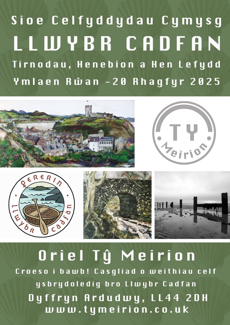 Oriel Tŷ Meirion - Llwybr Cadfan Exhibition Poster CY.jpg