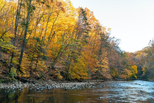 Pennsylvania Autumn [Diary of retired Priest]