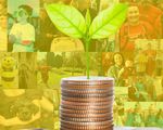 Fundraising and Stewarship