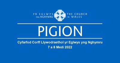 Governing Body September 2022 Highlights Banner Welsh