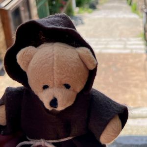 Brother JT, a small brown bear in brown Franciscan habit is held up in front of a landscape of lush green trees and blue sky