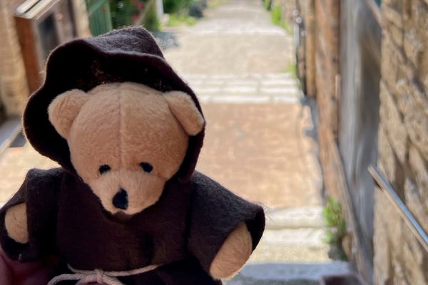 Brother JT, a small brown bear in brown Franciscan habit is held up in front of a landscape of lush green trees and blue sky