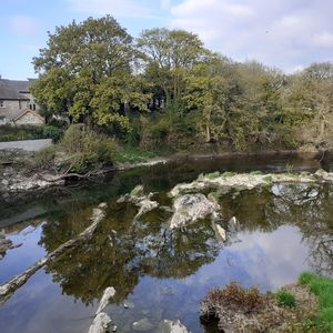River Teifi