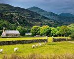 St Mary's Church Beddgelert Landscape