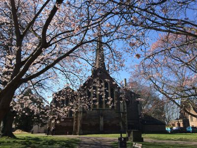 Church with tall spire surrounded by trees in full blossom with pink flowers