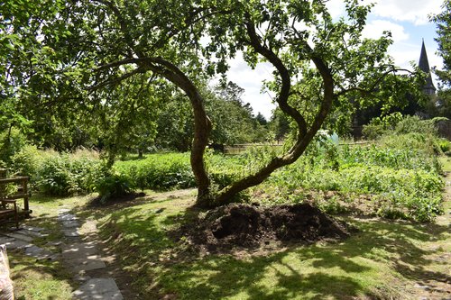 Bishop's Park - Walled Garden