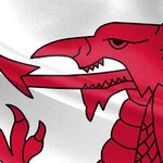 Welsh flag dragon's head