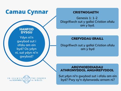 Y Byd Naturiol a Phethau Byw - Camau Cynnar