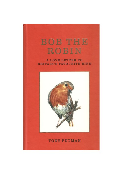 bob the robin [cover]