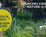 churches_count_on_nature_2026_EN.width-800.png