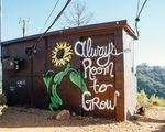 Room to grow