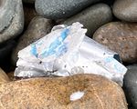 litter.jpeg