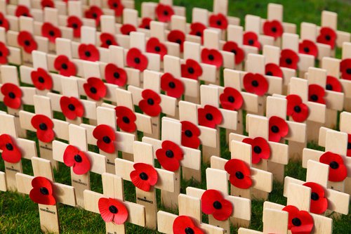Remembrance: Poppy crosses